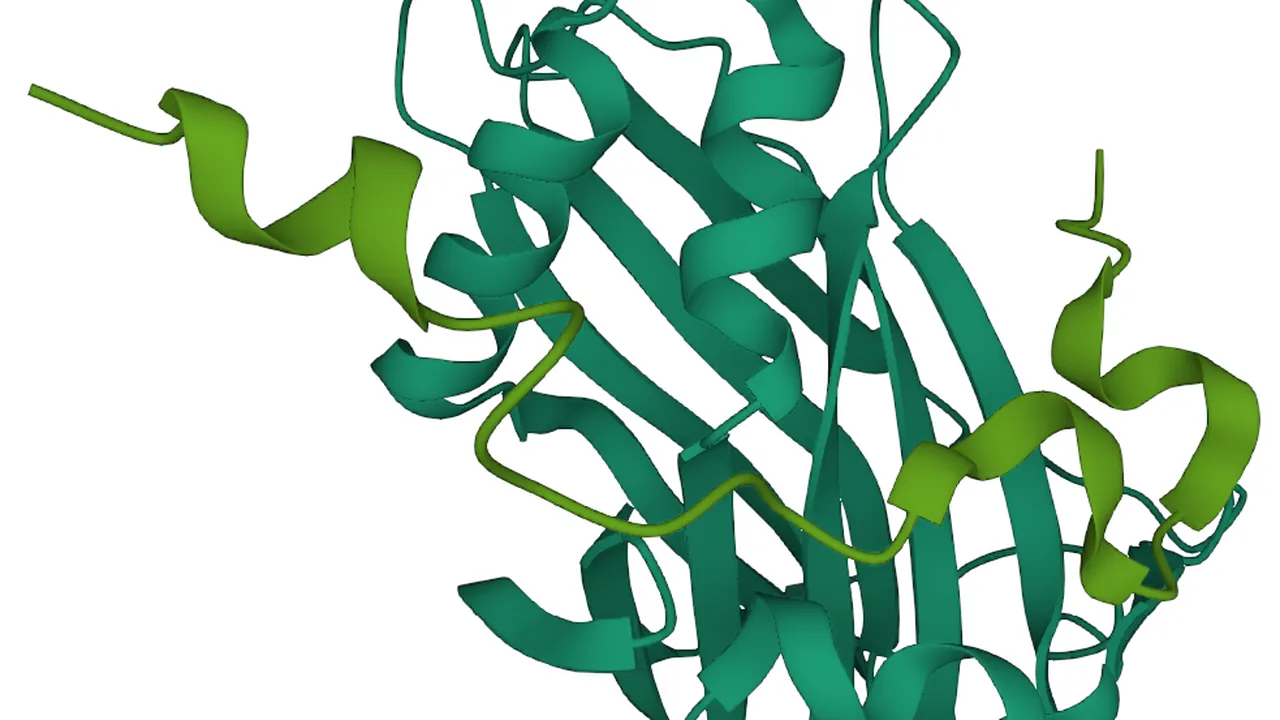 Structure of TAZ-TEAD complex (Mouse) - Protein Data Bank
