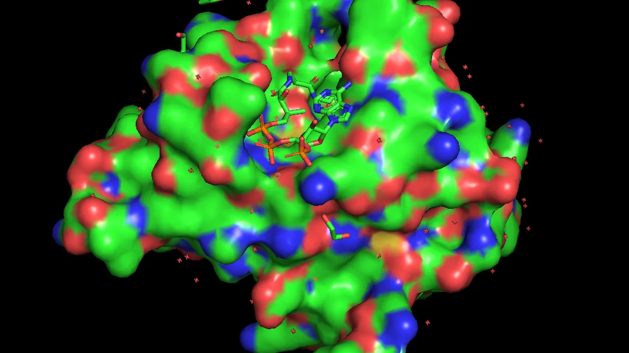 5H84 as recorded by PYMOL from the Protein Data Bank