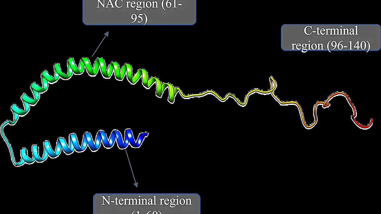 Alpha synuclein