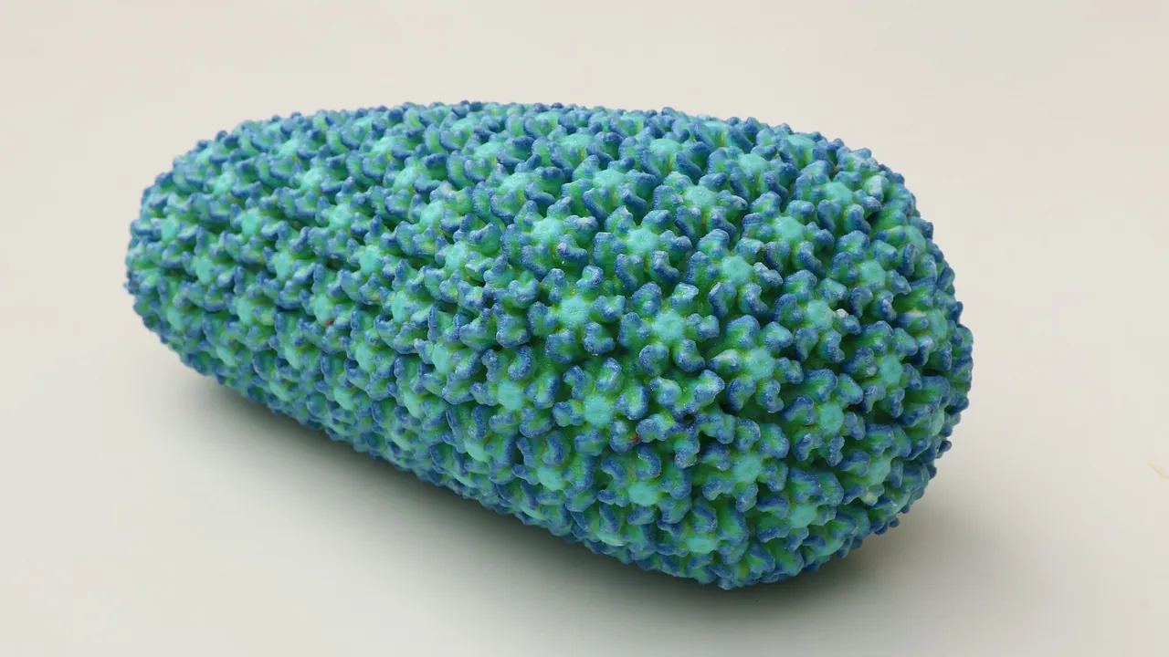 3D Model of the HIV Capsid (34357117320)