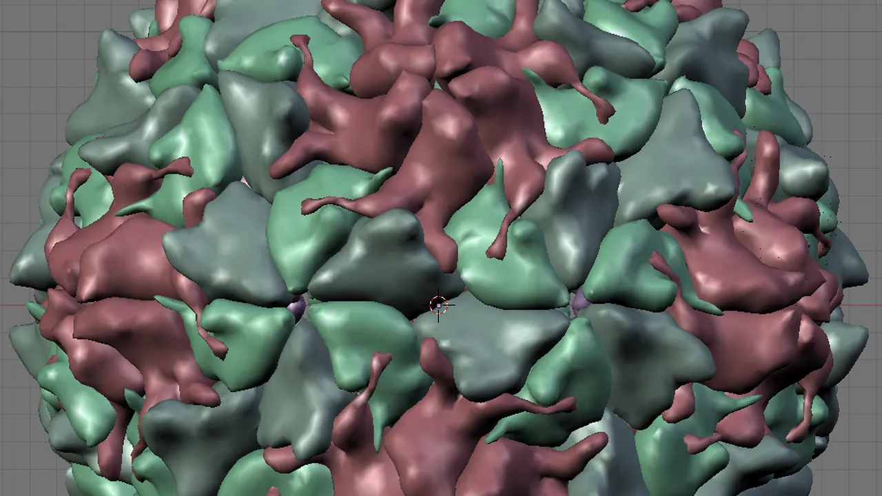 Polio Virus Capsid