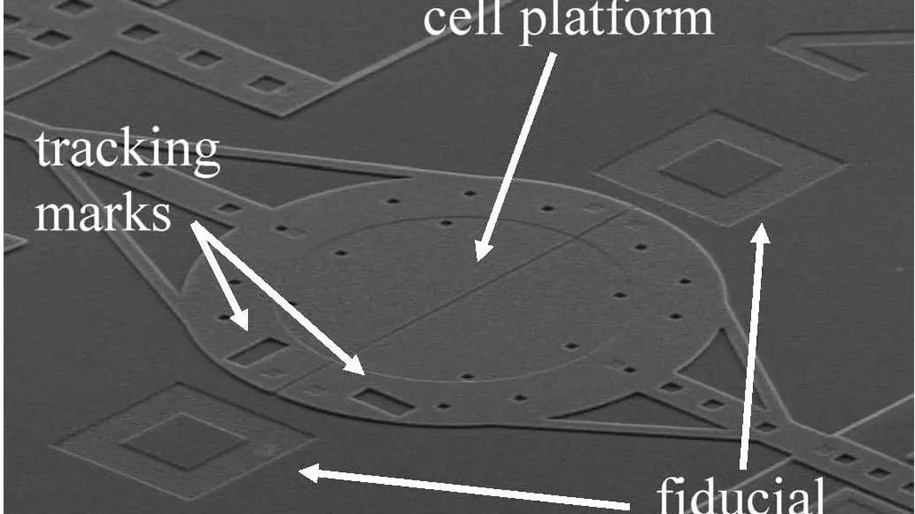 Microelectromechanical system (MEMS) (5880495531)