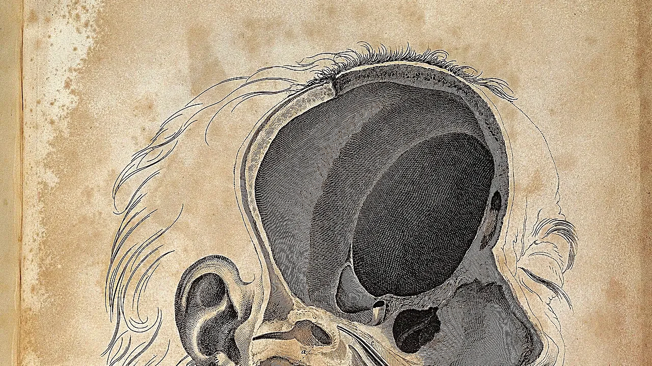 Anatomy of the ear, John Cunningham Saunders, 1806 Wellcome L0035340