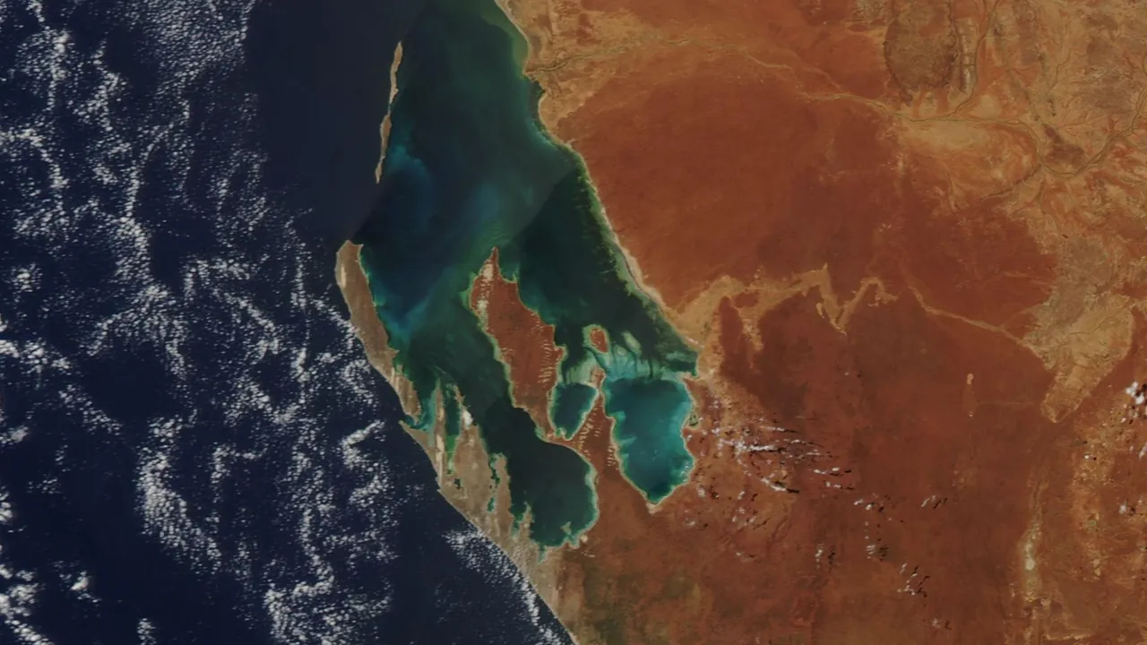 Shark Bay (MODIS 2020-03-05)