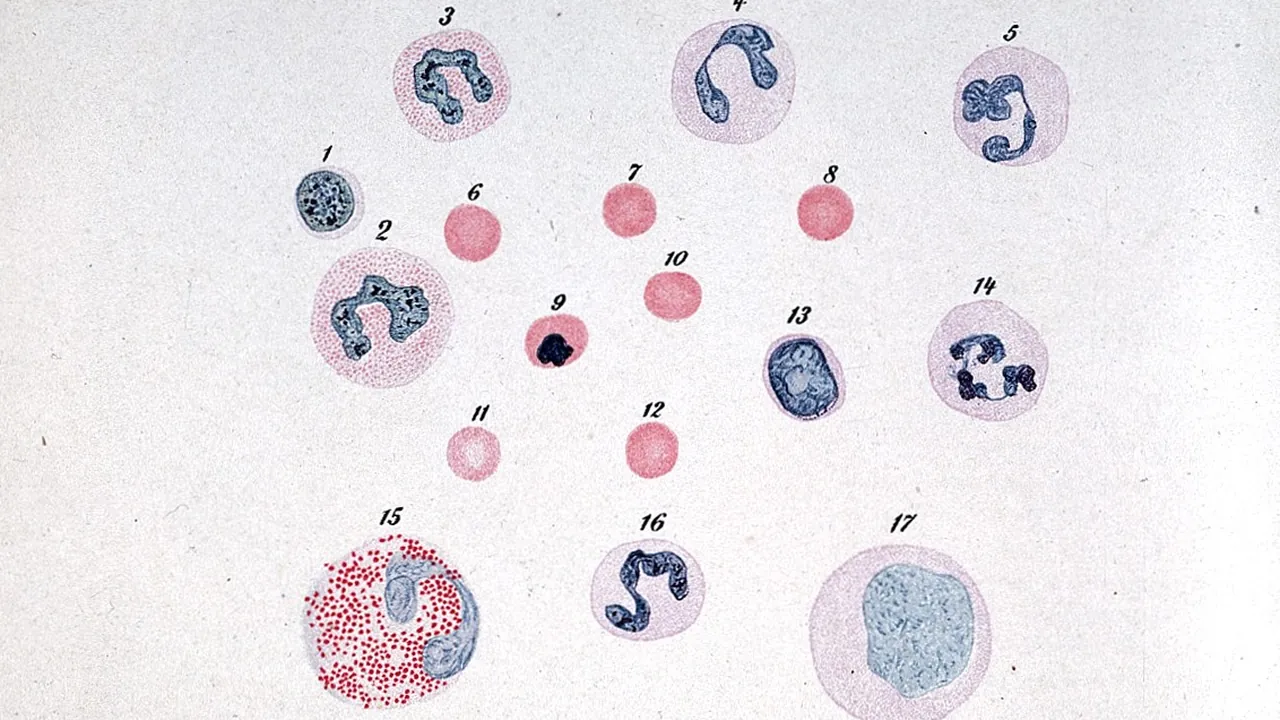 E. A. Schaffer, Text-book of microscopic anatomy Wellcome L0022087
