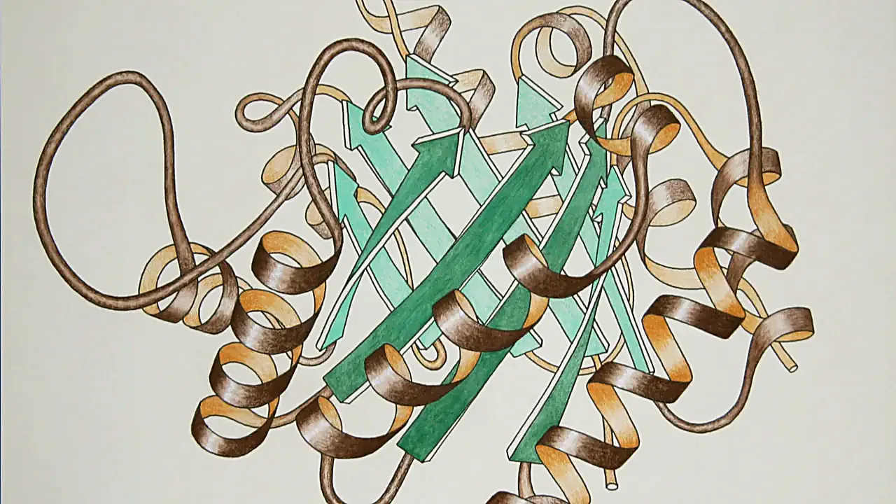 TriosePhosphateIsomerase Ribbon pastel photo