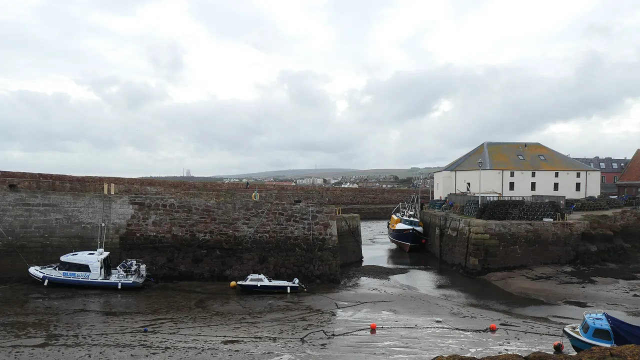 Coastal East Lothian , Footprints in the mud, Broad Haven, Dunbar - geograph.org.uk - 7629762