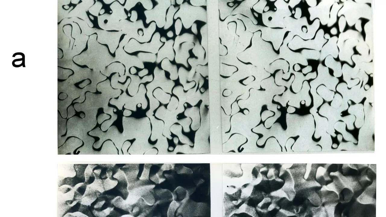 Magnetic Domains on Antiphase Boundaries in Heusler Alloy