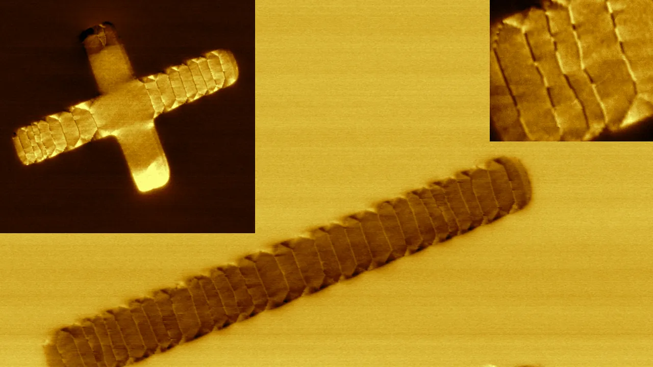 Domains in metal strips