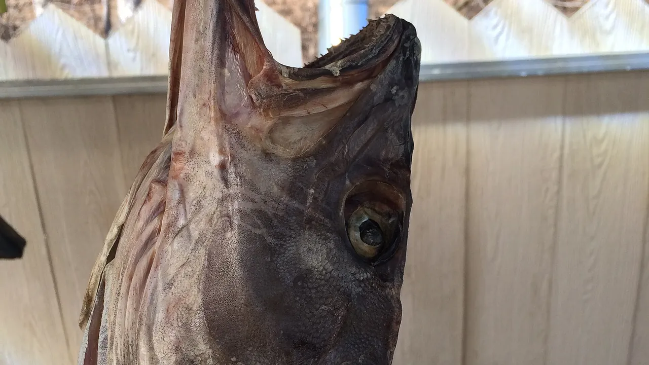 Dried cod 1