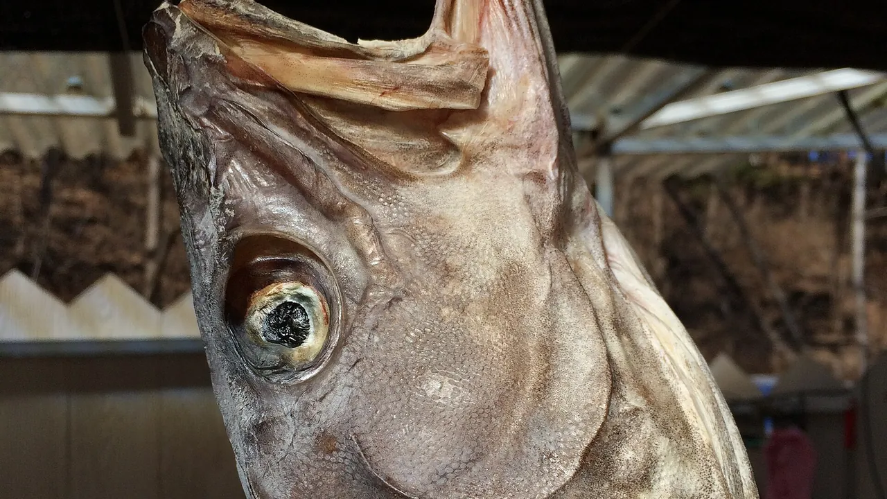 Dried cod 2