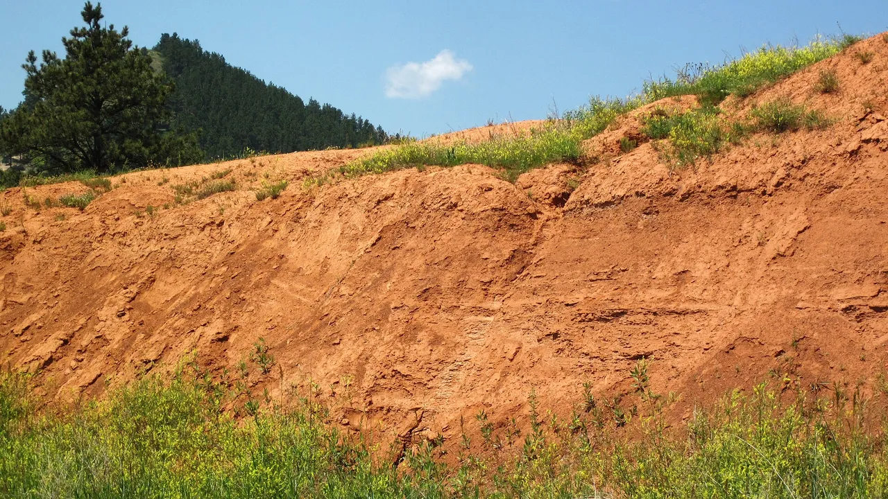Spearfish Formation redbeds (Permian and-or Triassic; construction cut in Sundance, Wyoming, USA) 2 (18805493793)