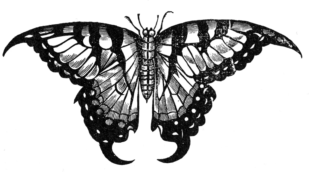 Papilio machaon Topsell 1658