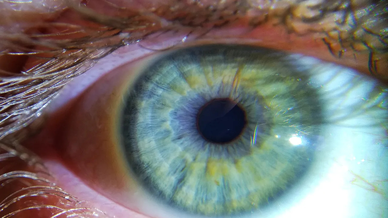 Human eye close up