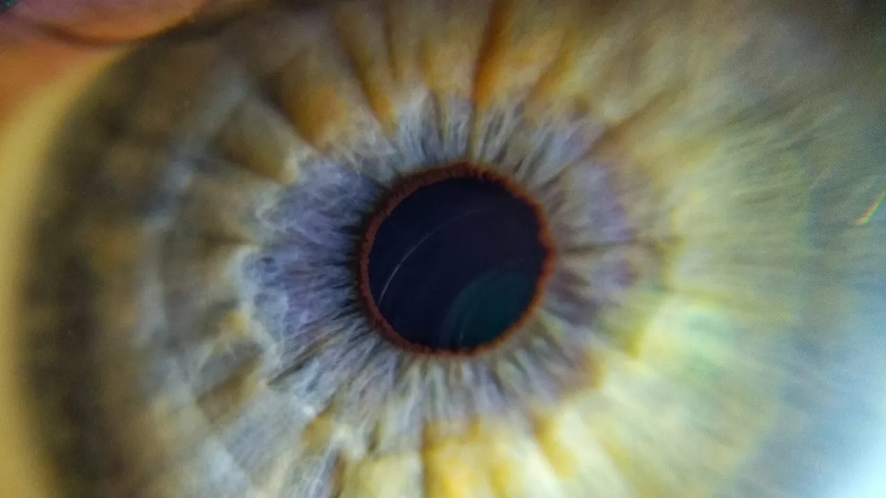 Human eye close up 2