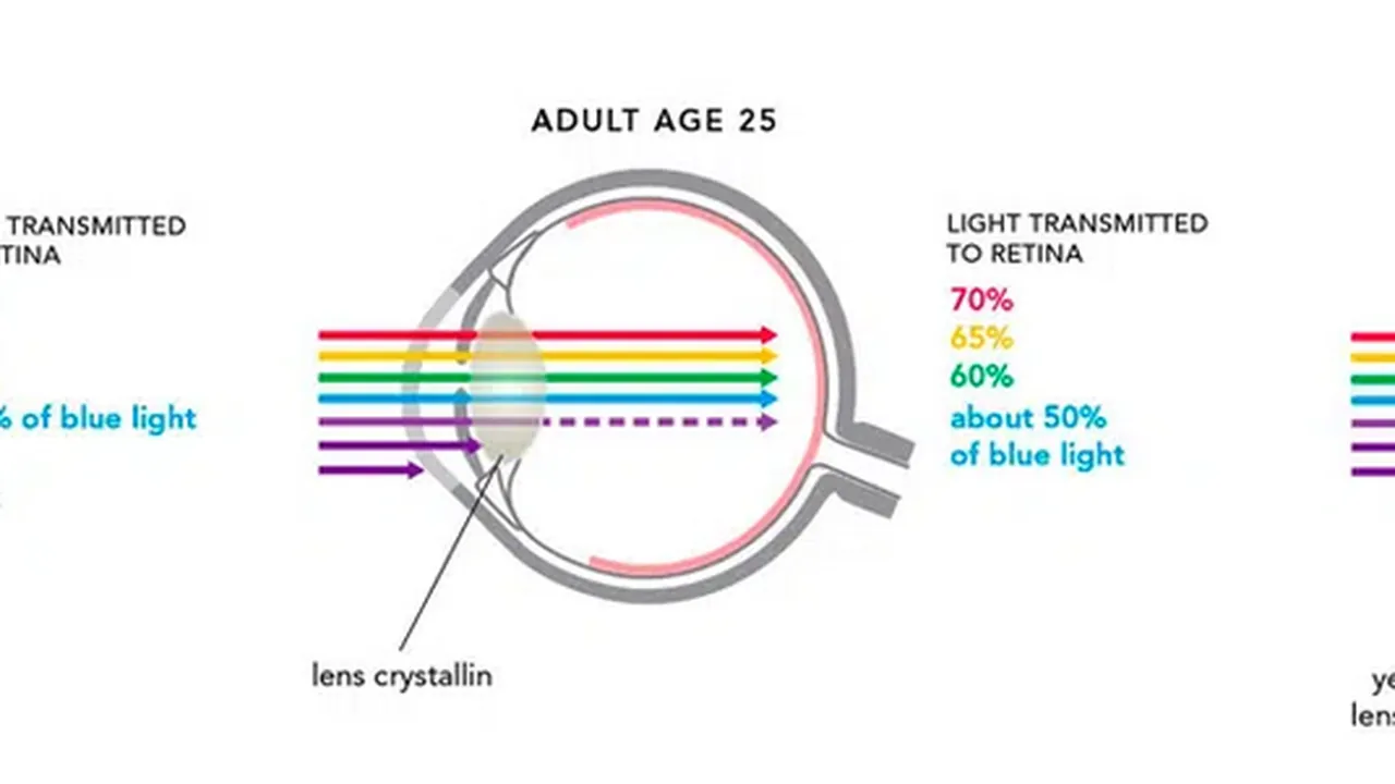 Recommended Levels of Blue Light Exposure By Age