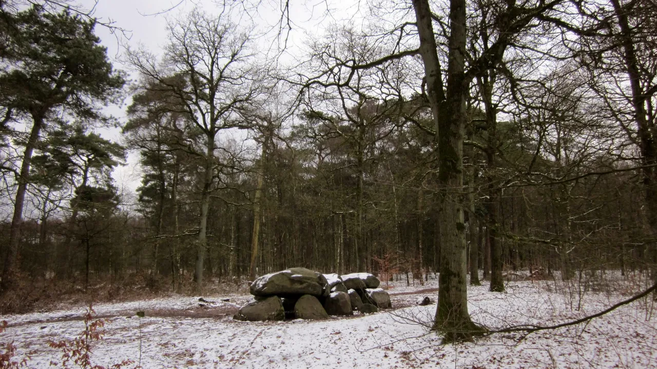 Hunebed (dolmen) d8, Anloo, Drenthe, Netherlands - panoramio (1)