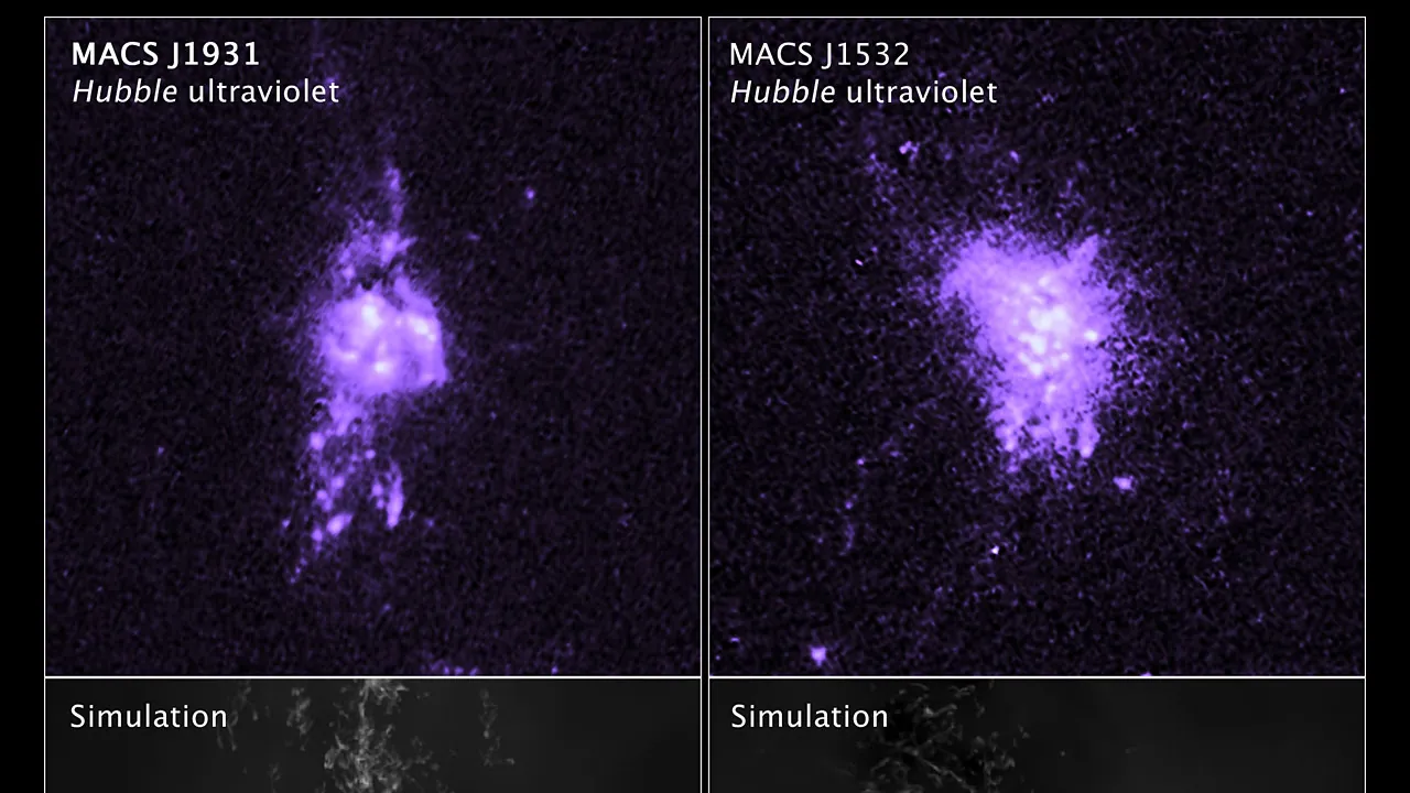 CLASH Survey Brightest Cluster Galaxies and Simulations