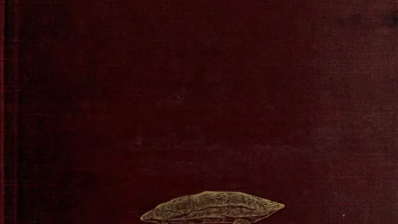 A Book of Dartmoor
