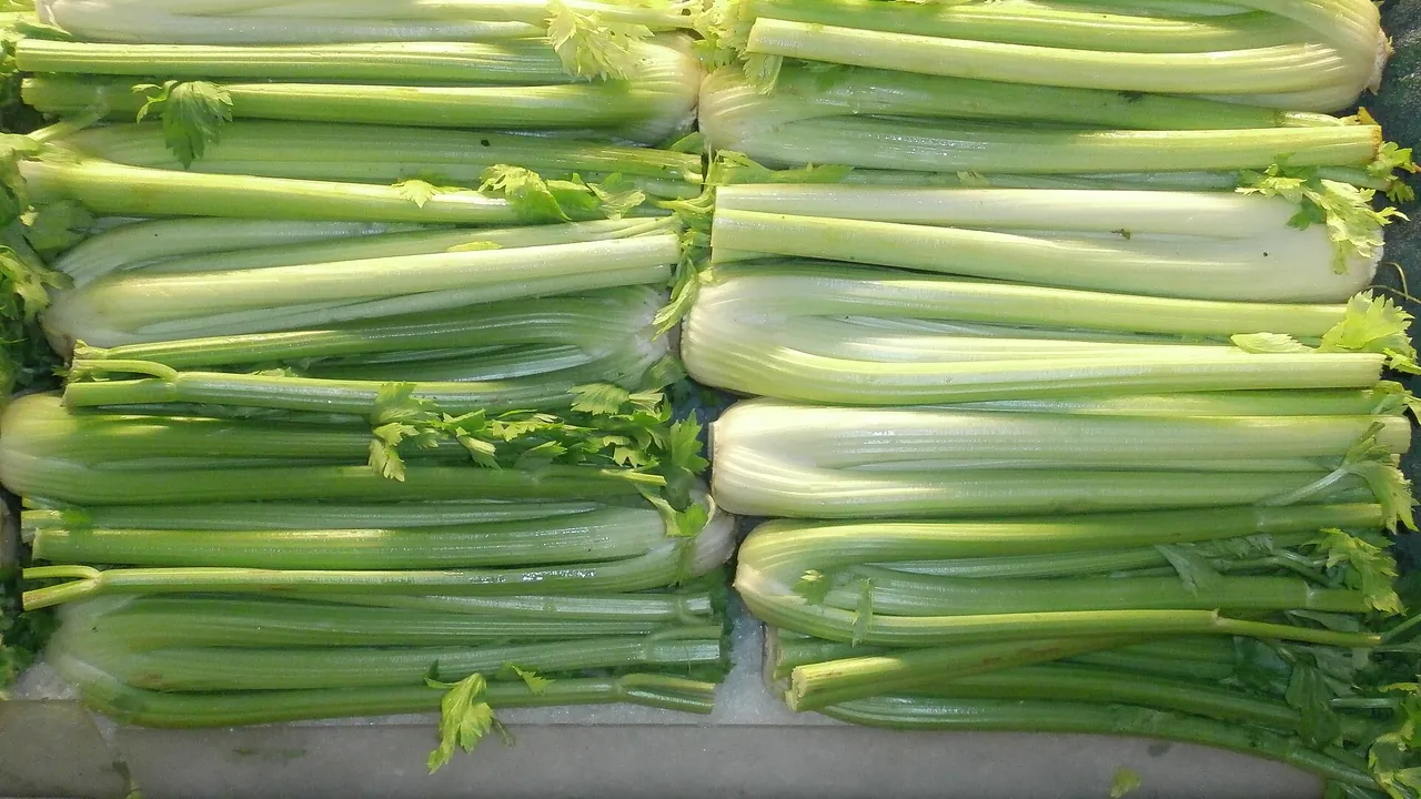 Celery stacks