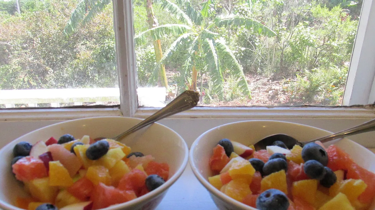 Starr-170721-0254-Carica papaya-homegrown fruit bowl also with Anna and Dorsett Golden apples Olinda Gold pineapples blu