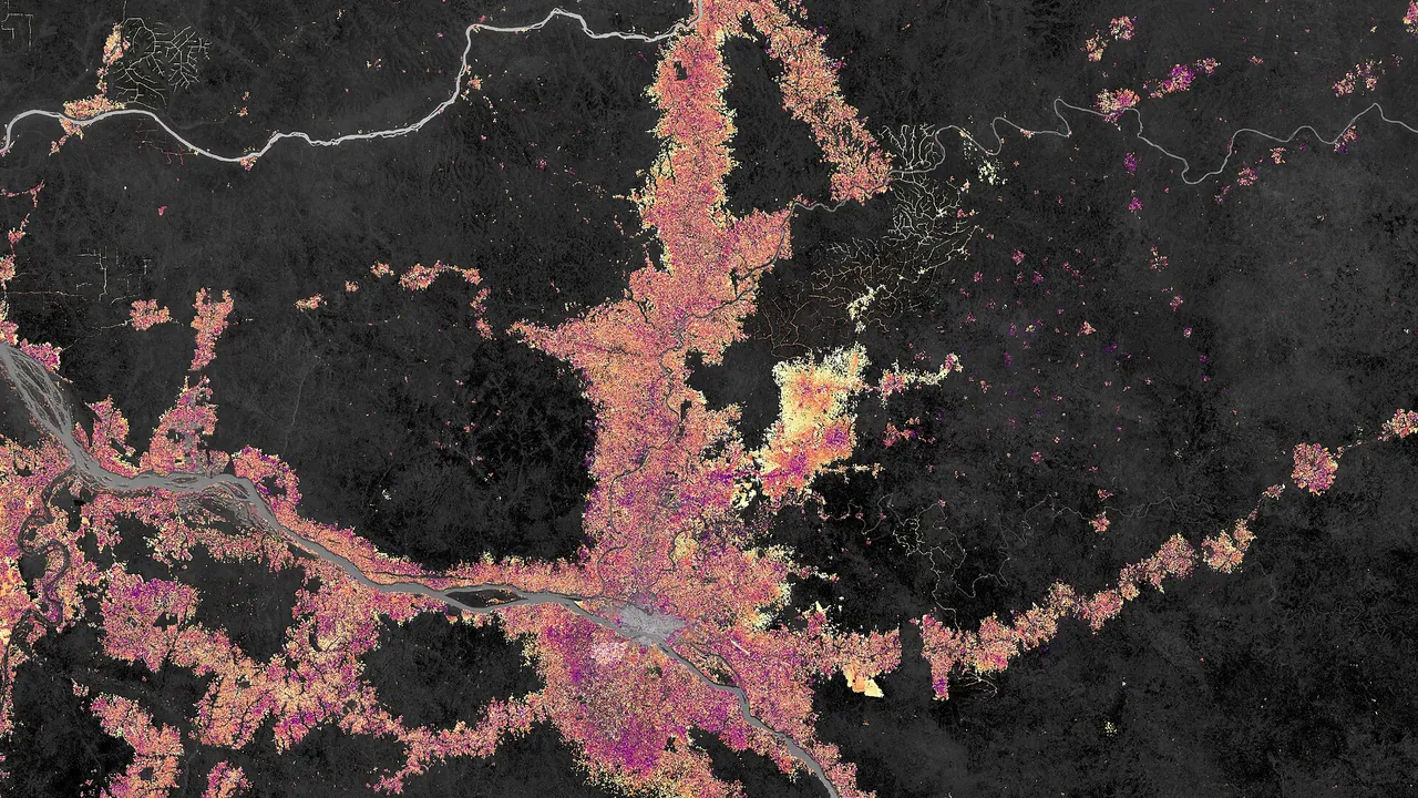DR Congo Kisangani forest loss oli 2024 lrg
