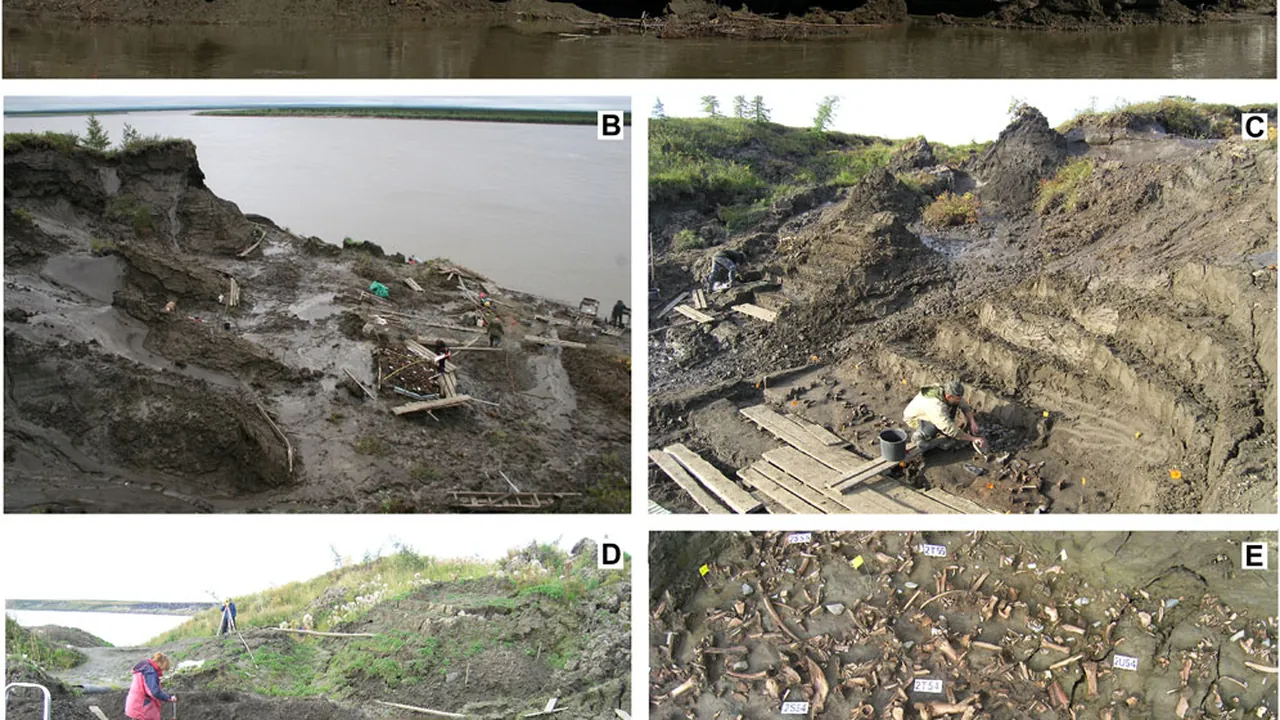 Excavation of the Northern Point area (NP) of the Yana site complex