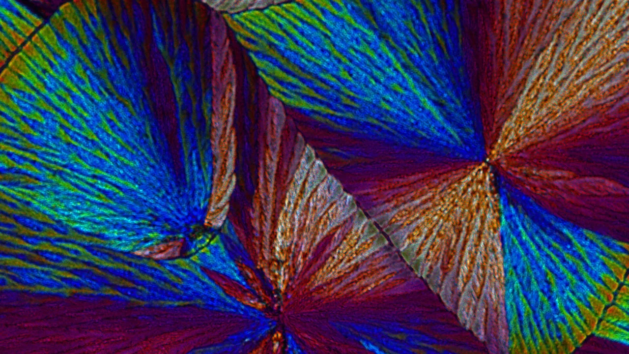 01 Vanillin Crystals