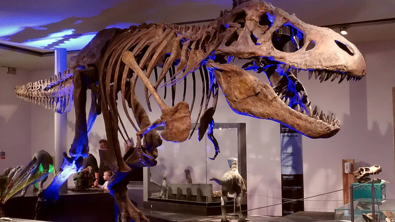 Newcastle Tyrannosaurus rex (1)