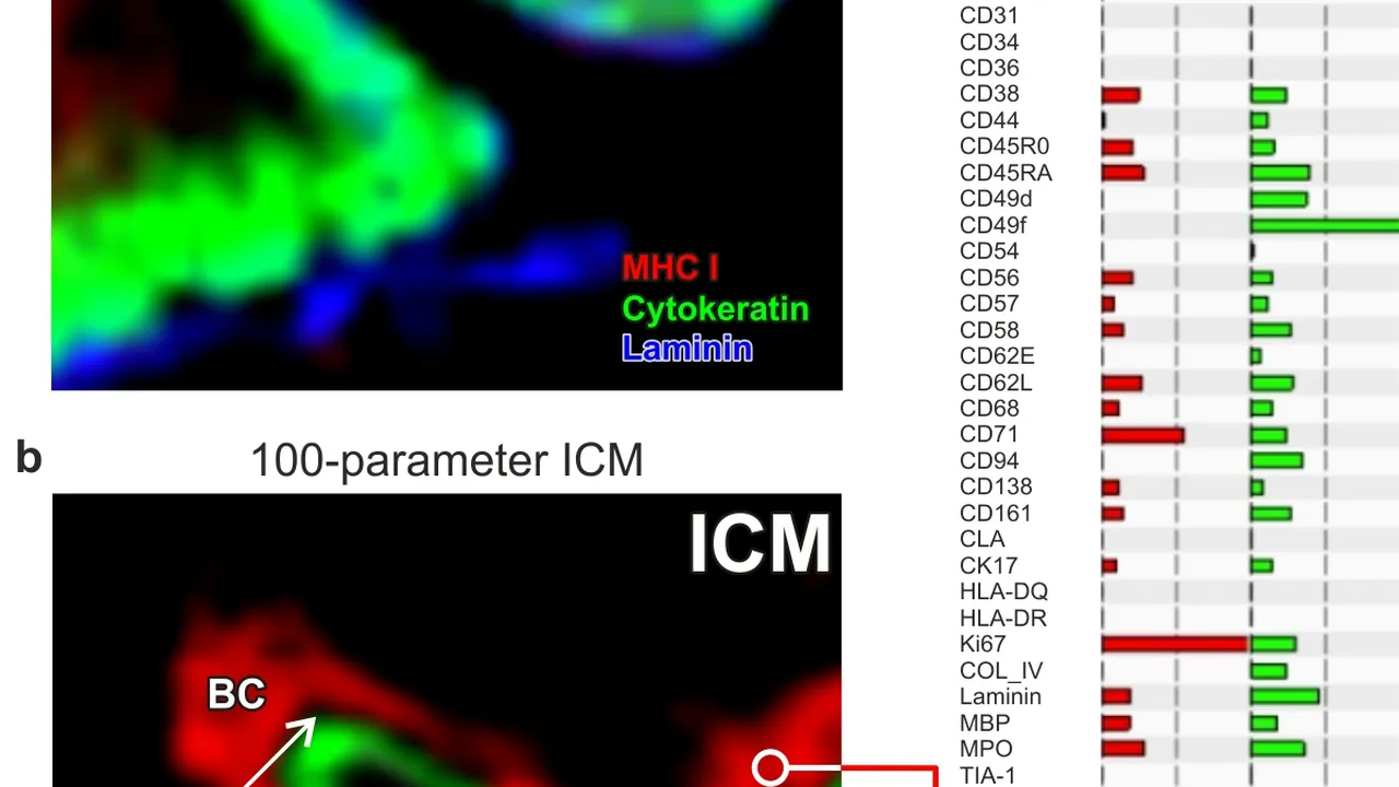 Comparison of dimension-unlimited epifluorescence imaging cycler microscopy (ICM) and standard three-parameter fluoresce