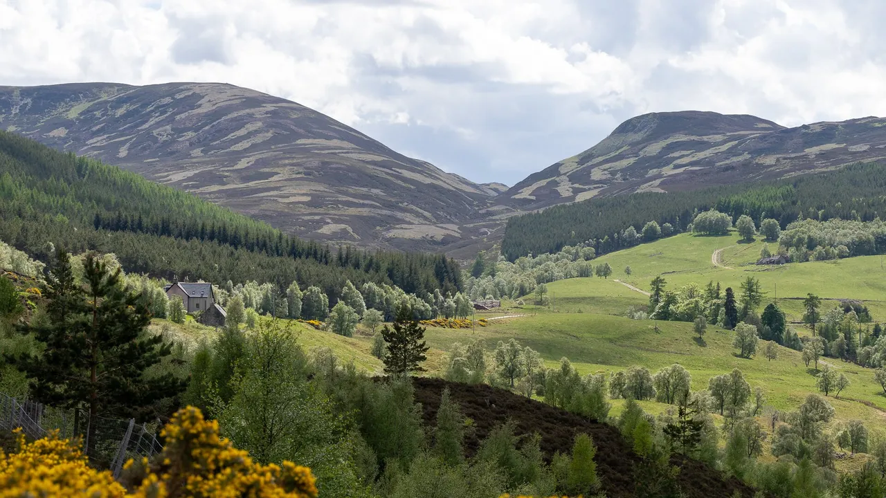 Cairngorms National Park, Scotland
