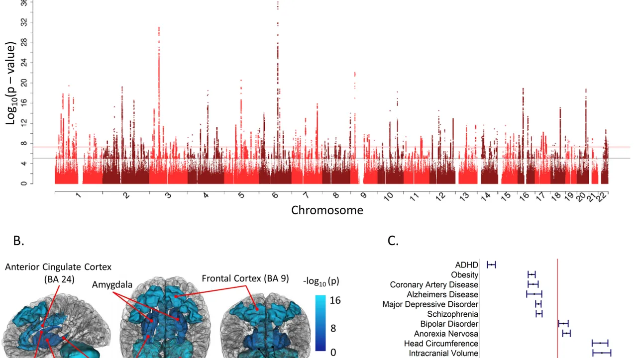Genetic loci associated with intelligence test scores, intelligence's overlap with transcription differences in the brai