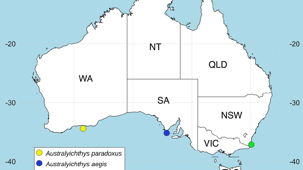 Australyichthys spp. (type localities)