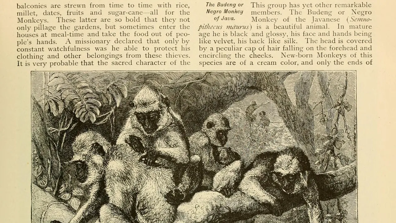Brehm's Life of animals (Page 27) (6902381630)