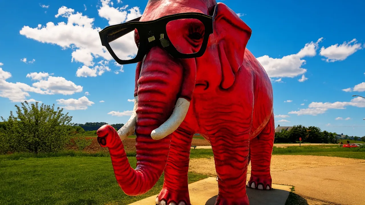 Pinkie the Pink Elephant - panoramio