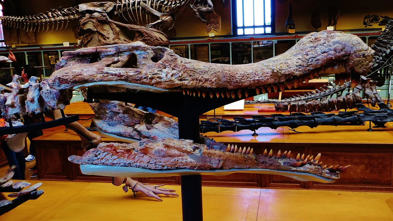 Sarcosuchus imperator skull side 7