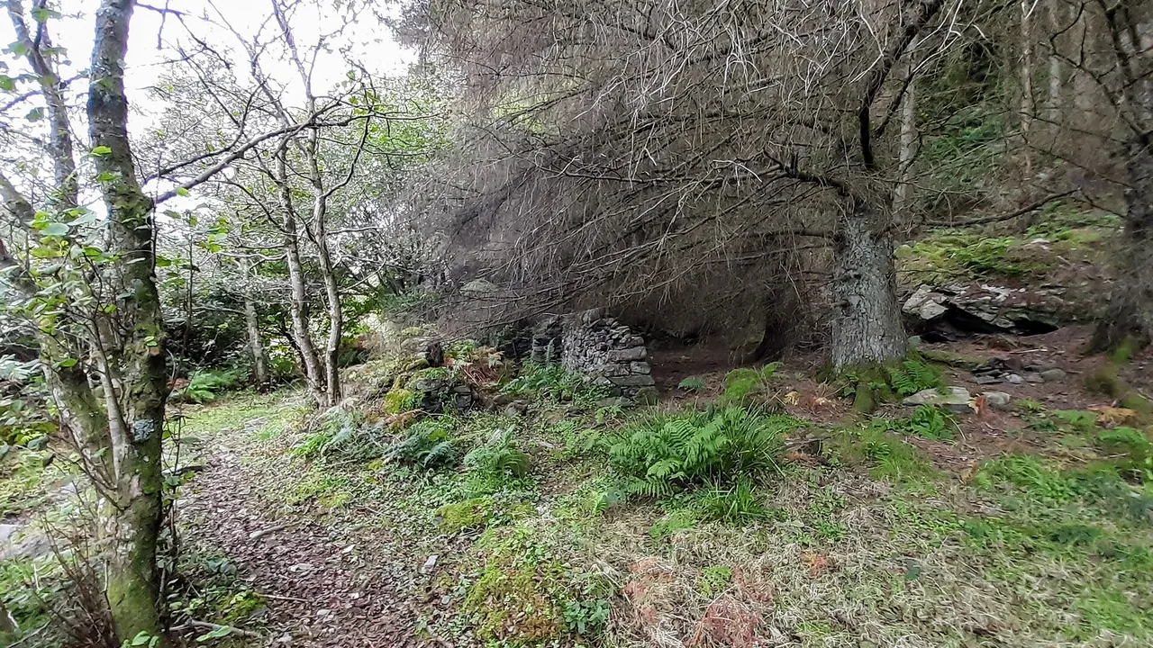Abandoned steading, Barmore Island - geograph.org.uk - 6270217