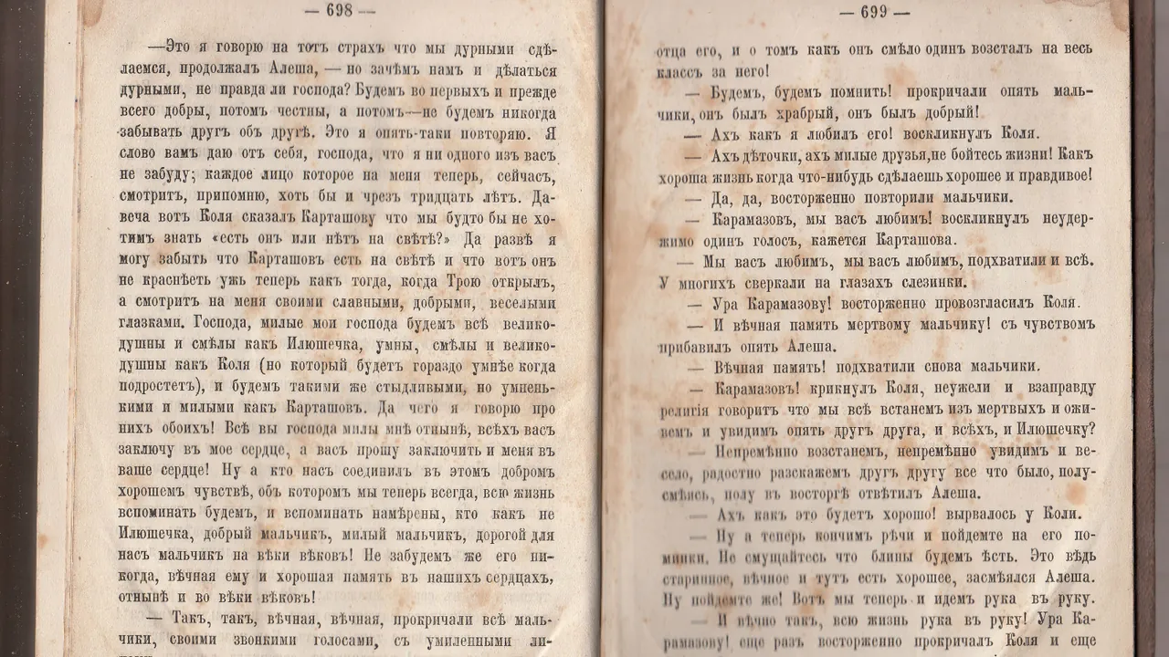 The Brothers Karamazov page