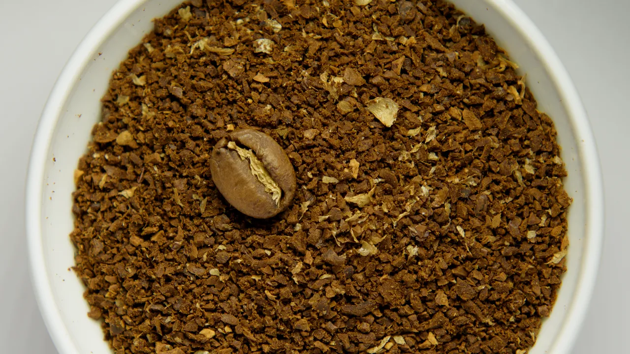 Coarsely grounded coffee beans in white bowl with intact roasted bean