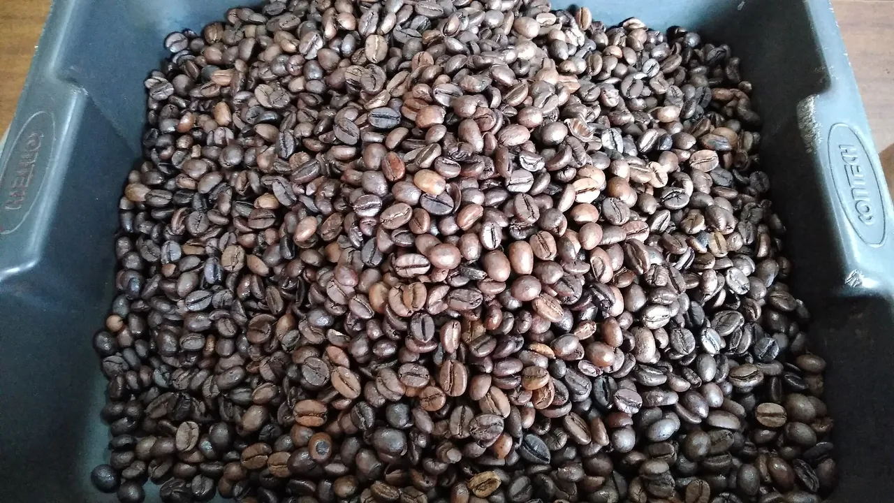 Coffee beans roasted