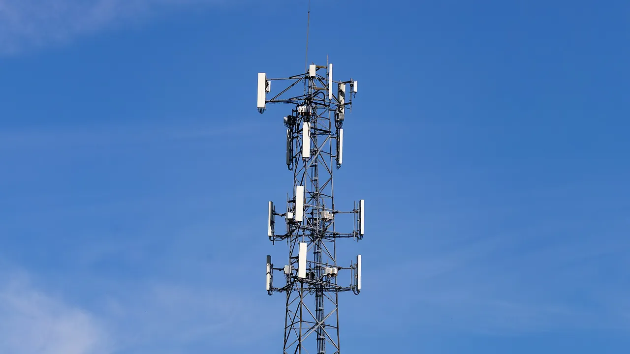 Cell phone tower, Tilbury, Ontario, 2026-09-07