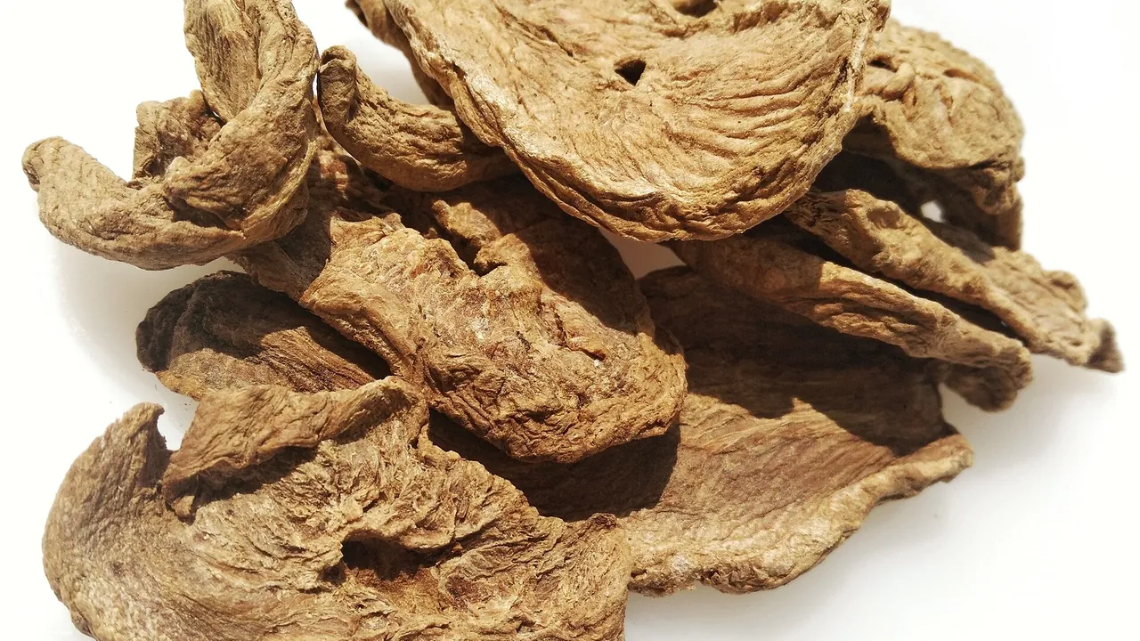 Dried chicory root