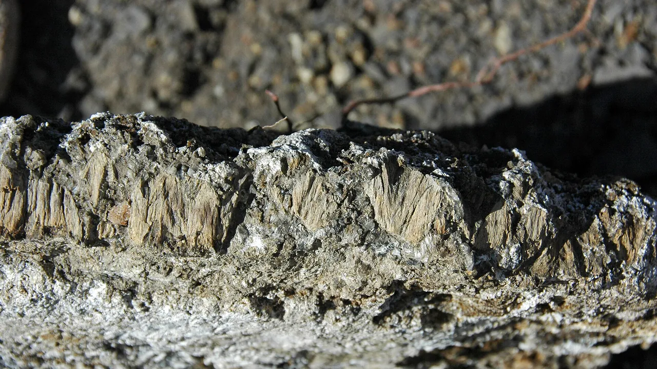 Concretionary cone-in-cone structures (Benton Shale, Upper Cretaceous; Red Rock Canyon Open Space, Colorado Springs, Col