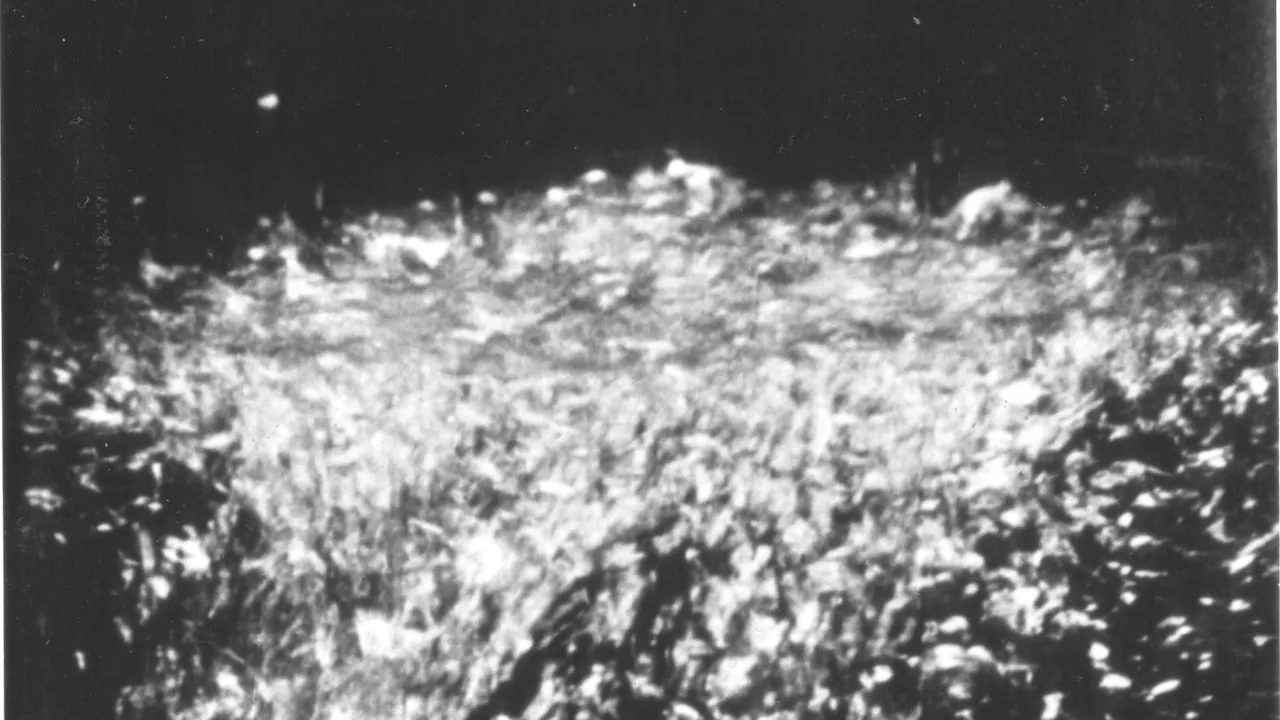 Liquid helium lambda point transition
