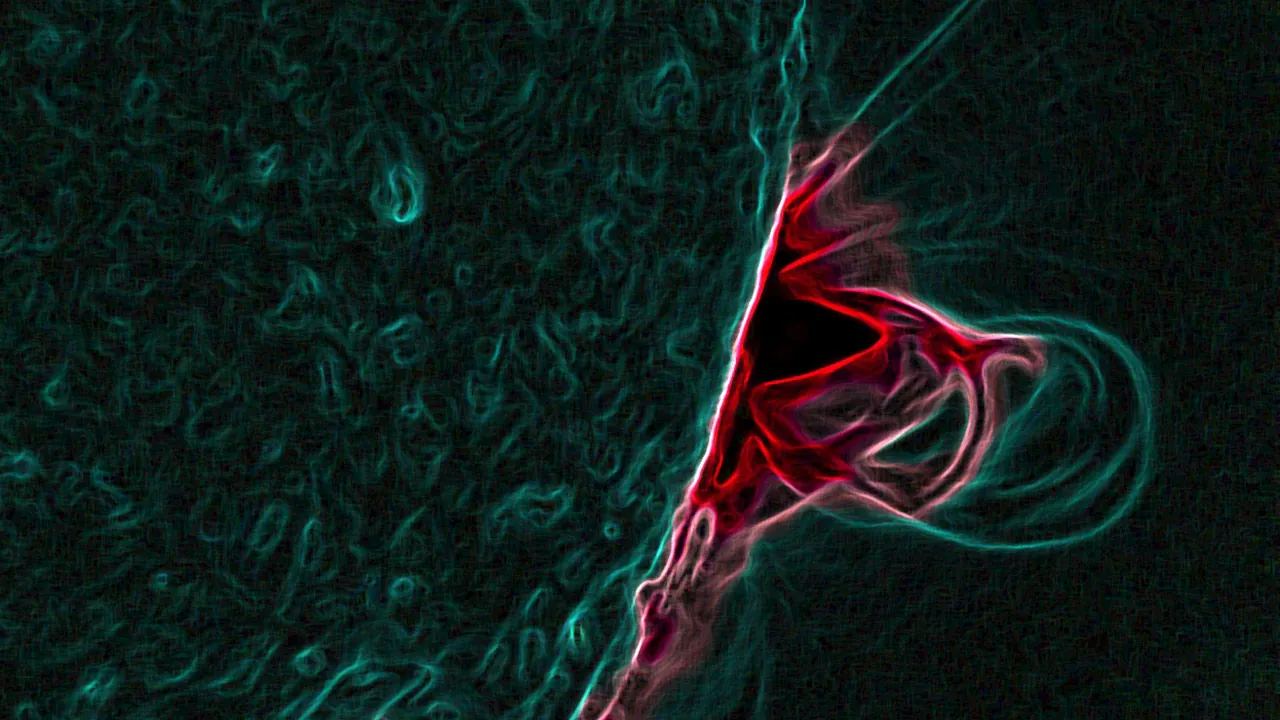 Magnetic loops on the sun