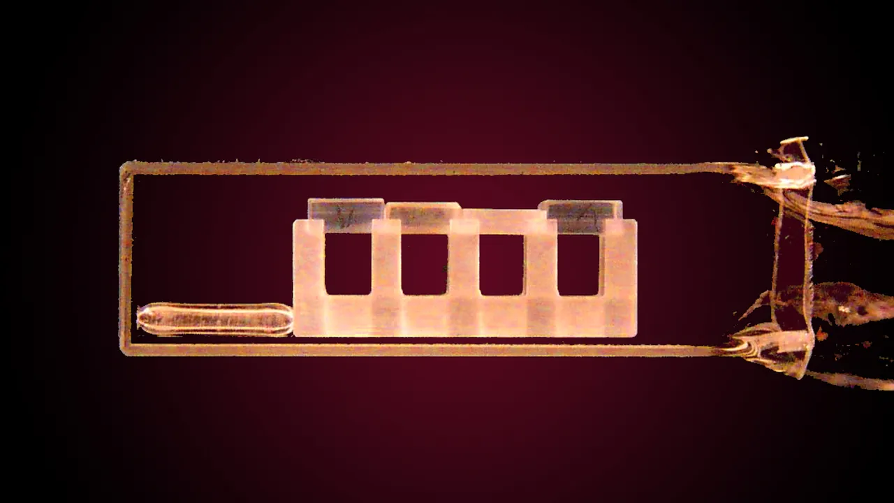 Bose-Einstein Condensate (5941063018)