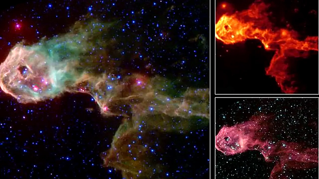 Multi-Wavelength Views of Protostars in IC 1396