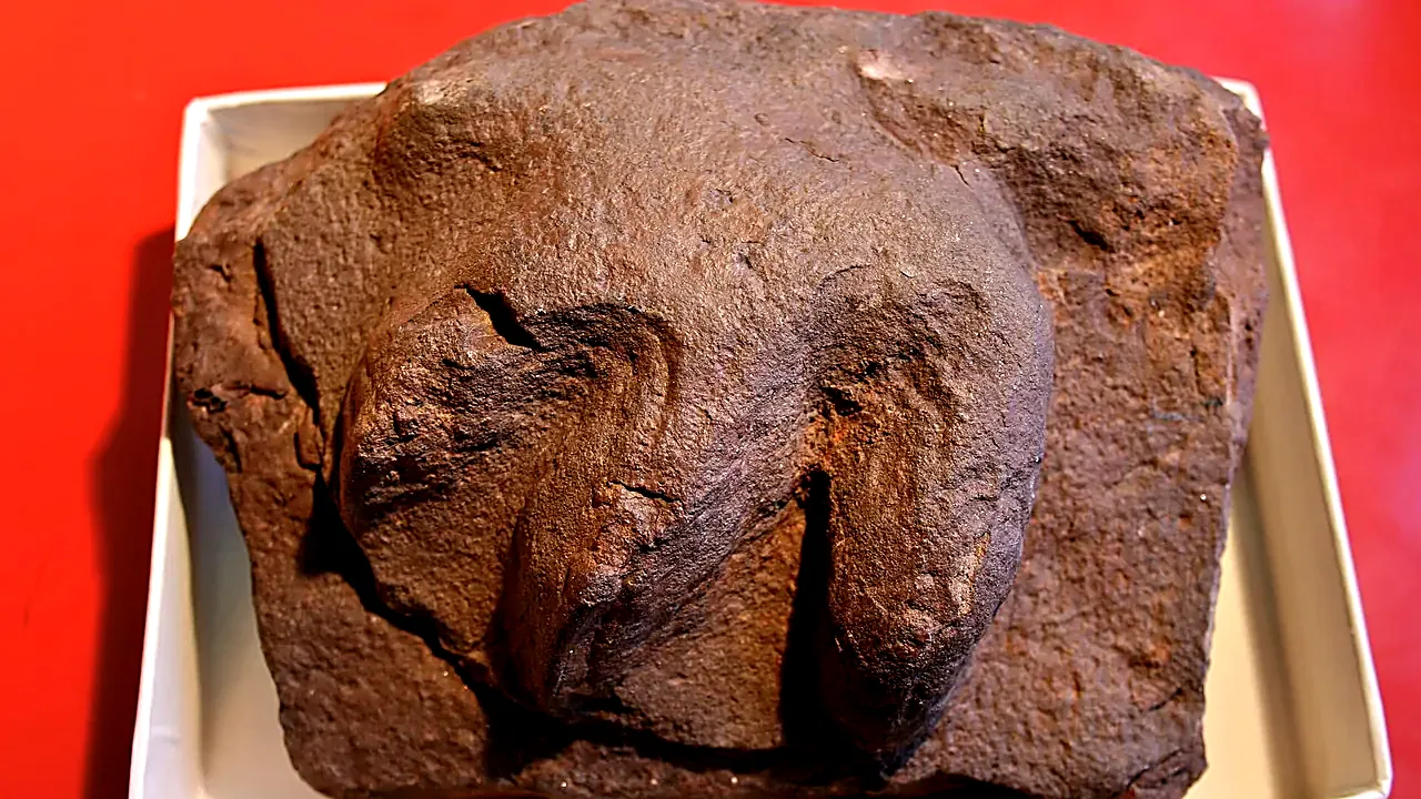 BLW Chirotherium footprint