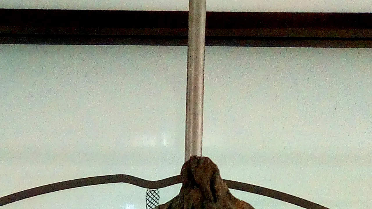 Titanoboa vertebra 1