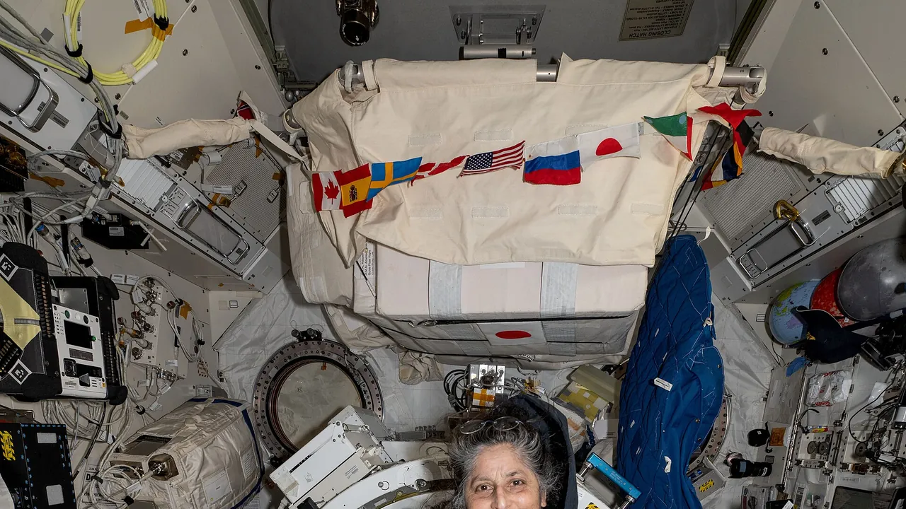 Iss072e143491 (Nov 1, 2024) --- NASA astronaut and Expedition 72 Commander Suni Williams displays the Space Tissue Equiv
